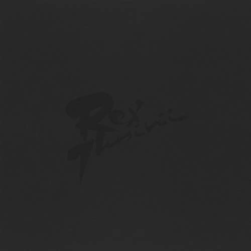 REX ILUSIVII - KONCERT SNP 1983 LP