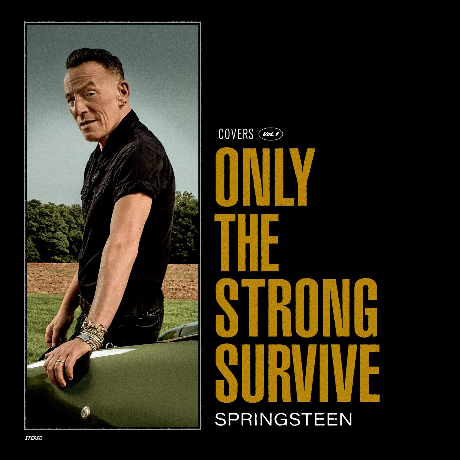 SPRINGSTEEN BRUCE - ONLY THE STRONG SURVIVE LP2 - Slika 2