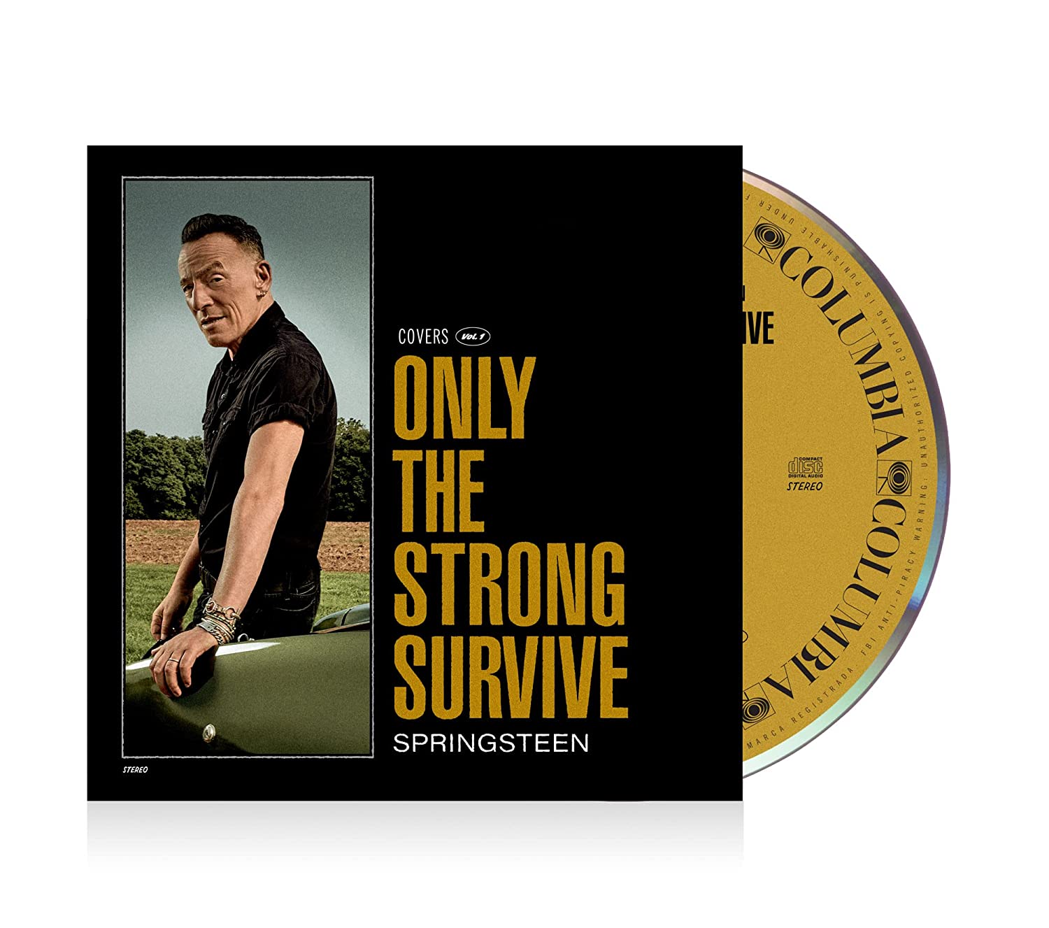 SPRINGSTEEN BRUCE - ONLY THE STRONG SURVIVE CD