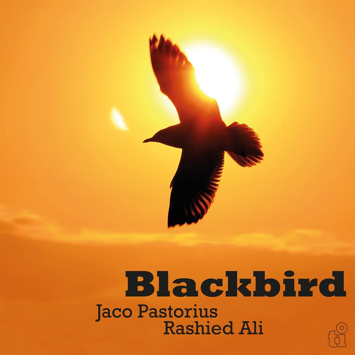 PASTORIOUS JACO & RASHIED ALI - BLACKBIRD yellow vinyl LP - Slika 4