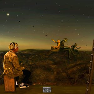 CORDAE- FROM A BIRDS EYE VIEW LP