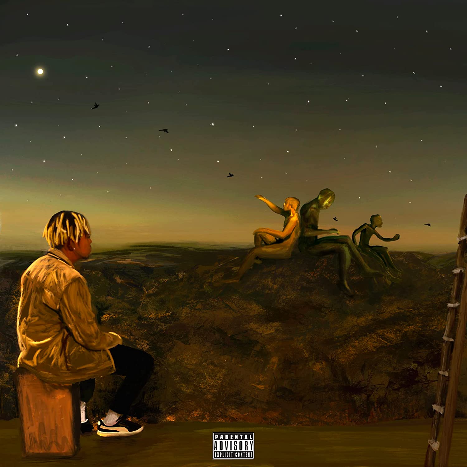 CORDAE- FROM A BIRDS EYE VIEW LP
