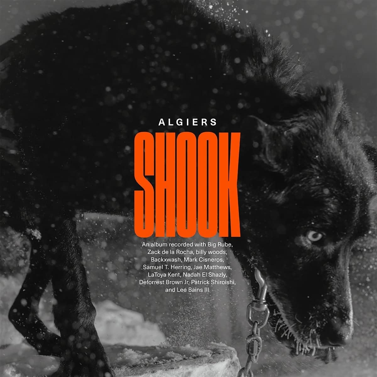 ALGIERS - SHOOK LP2 - Image 2