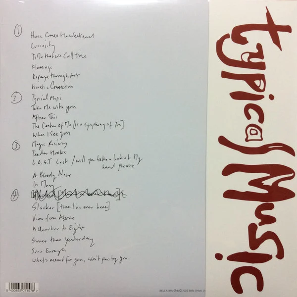 BURGESS TIM - TYPICAL MUSIC LP2 - Slika 2