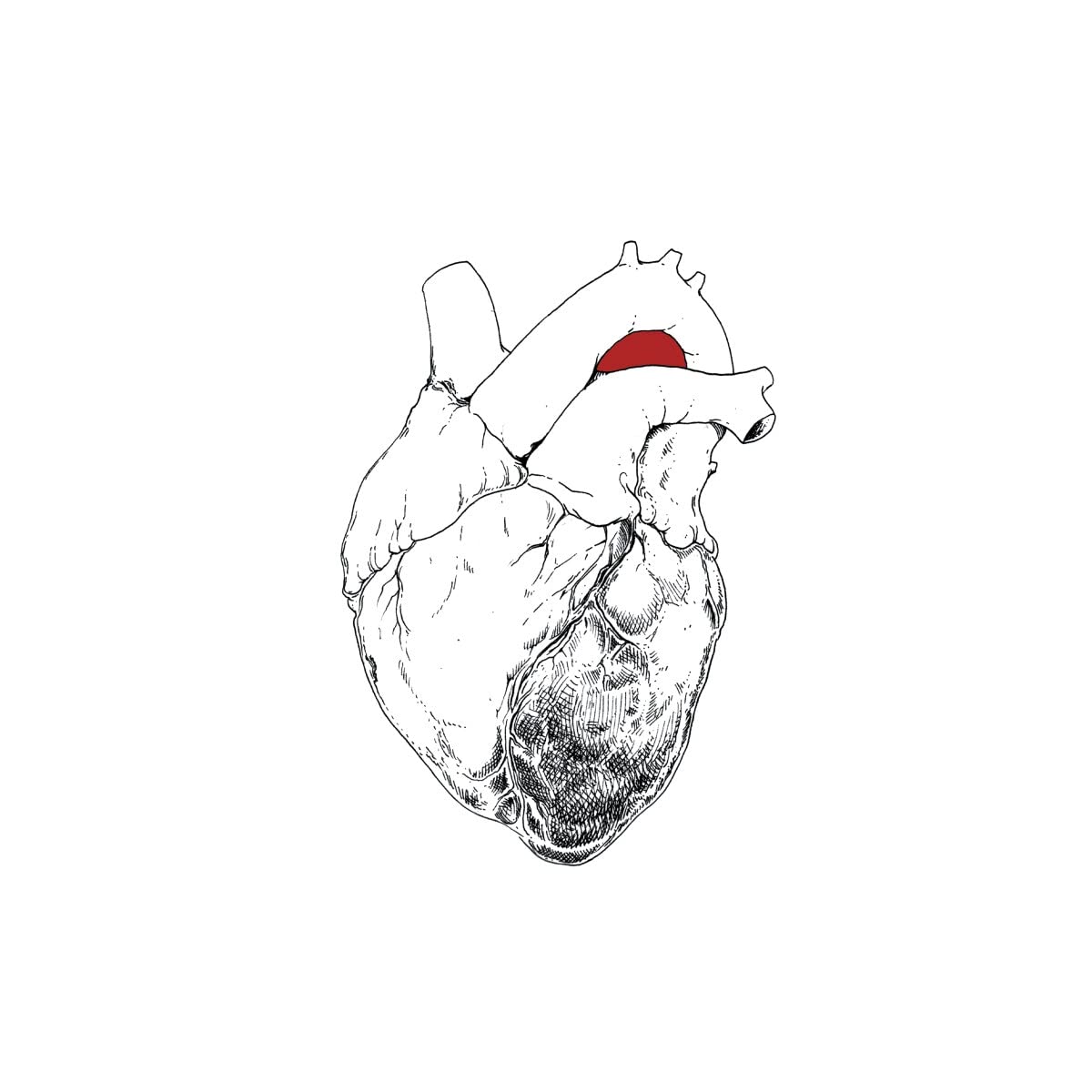 SWANS - BEGGAR LP2 - Image 2