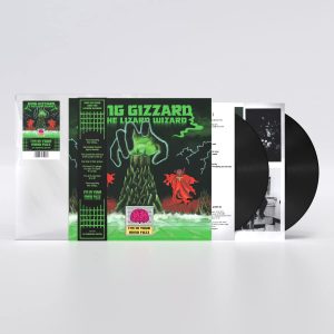 KING GIZZARD & THE LIZARD WIZARD - I'M IN YOUR MIND FUZZ 45 RPM audiophile edit