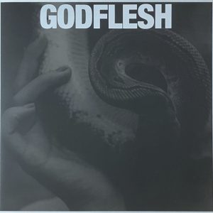 GODFLESH - PURGE LP