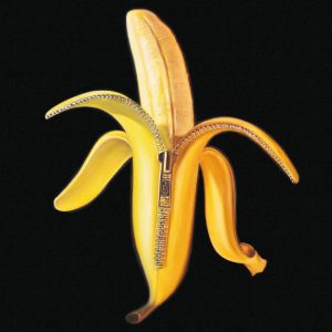 DANDY WARHOLS - WELCOME TO THE MONKEY HOUSE LP