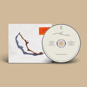 HARVEY P.J. - I INSIDE THE OLD YEAR DYING CD