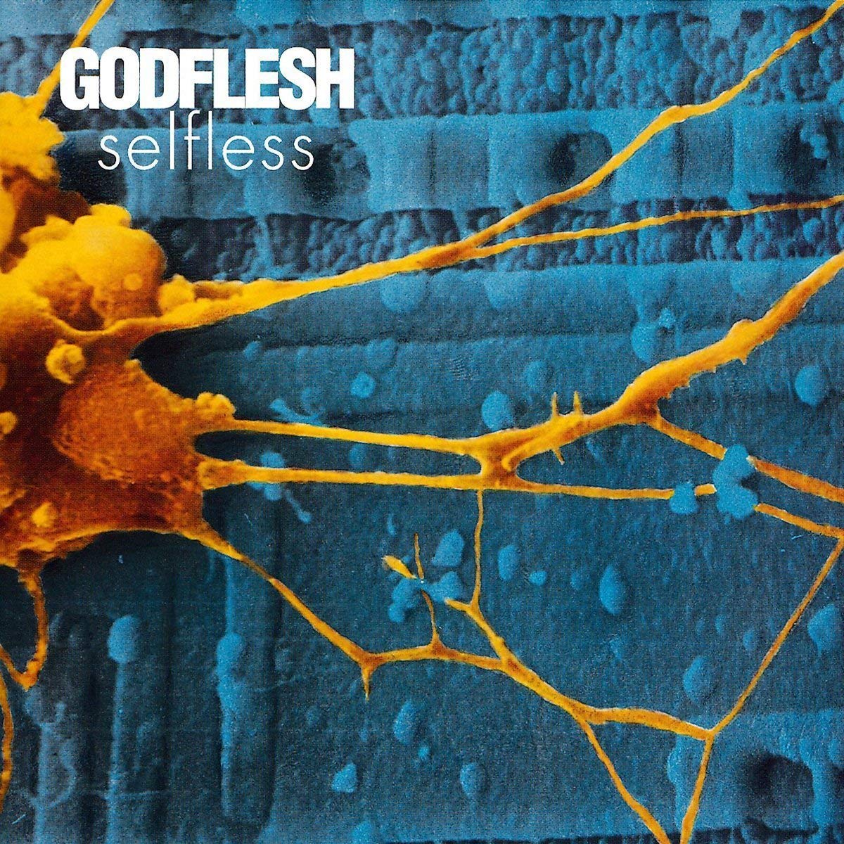 GODFLESH - SELFLESS CD