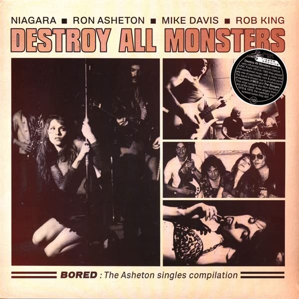 DESTROY ALL MONSTERS - BORED LP