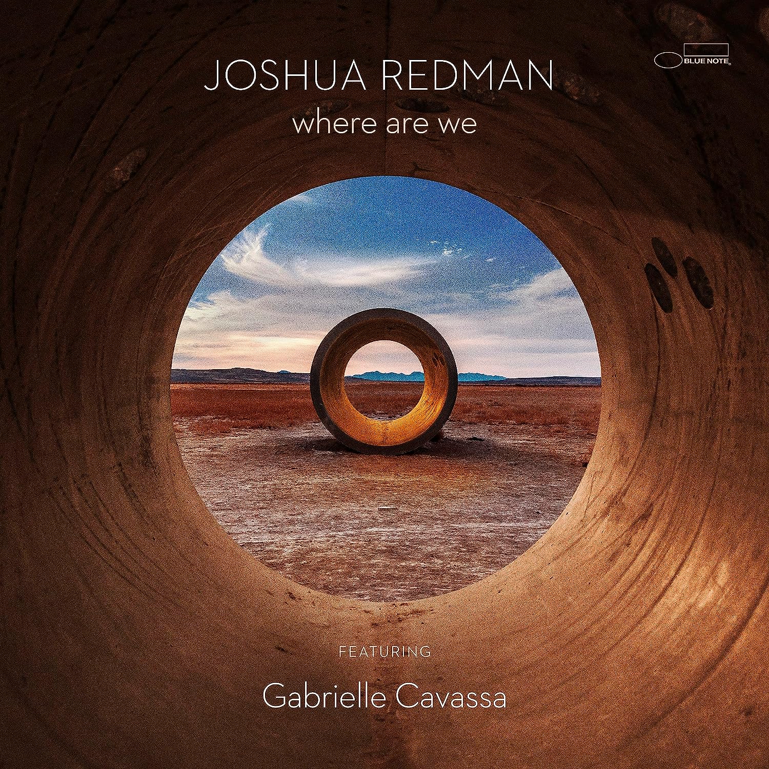 REDMAN JOSHUA - WHERE ARE WE LP2 - Slika 2
