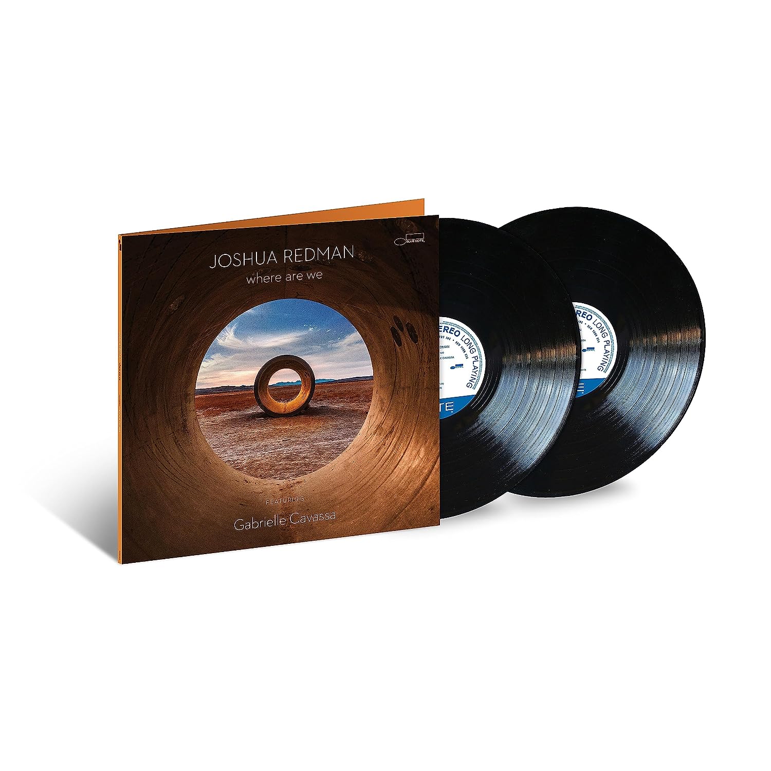 REDMAN JOSHUA - WHERE ARE WE LP2