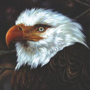 MOGWAI - HAWK IS HOWLIN white   LP2