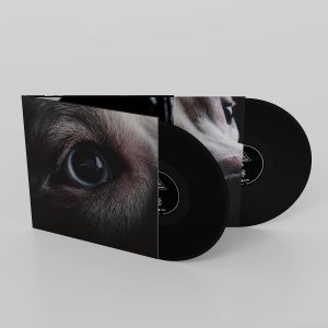 WATERS ROGER - DARK SIDE OF THE MOON REDUX LP2