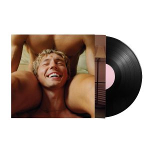 SIVAN TROYE - SOMETHING TO GIVE EACH OTHER LP