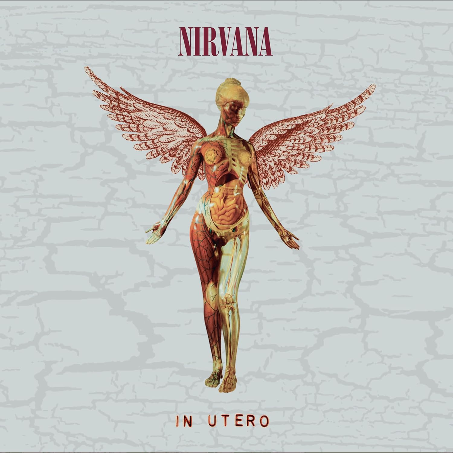NIRVANA - IN UTERO 30th anniversary CD BOX (Super Deluxe 5CD) - Slika 2