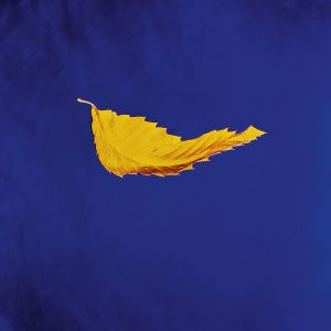 NEW ORDER - TRUE FAITH 12"M SINGLE