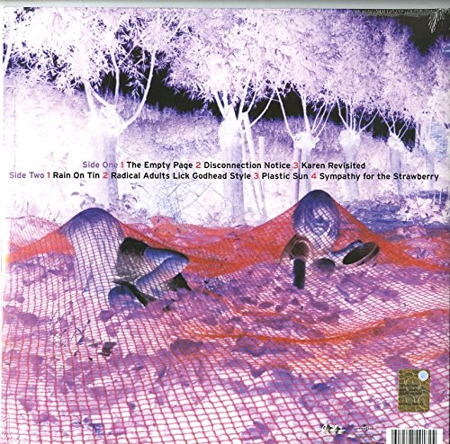 SONIC YOUTH - MURRAY STREET LP - Slika 2
