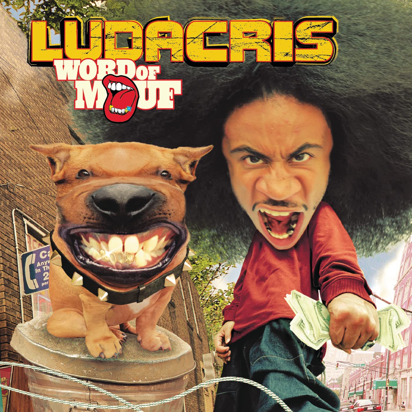 LUDACRIS - WORD OF MOUTH LP (Coloured Re-issue 2023, 2LP)