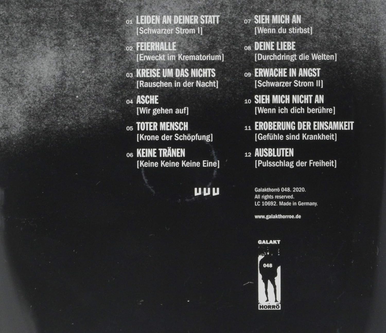 HAUS ARAFNA - ASCHE CD - Slika 2