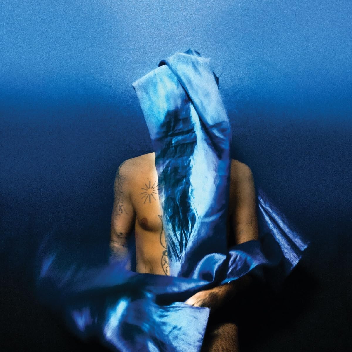 BANHART DEVENDERA - FLYING WIG CD