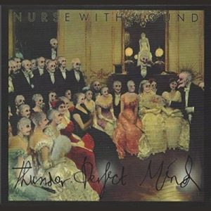 NURSE WITH WOUND - THUNDER PERFECT MIND limited picture discLP3