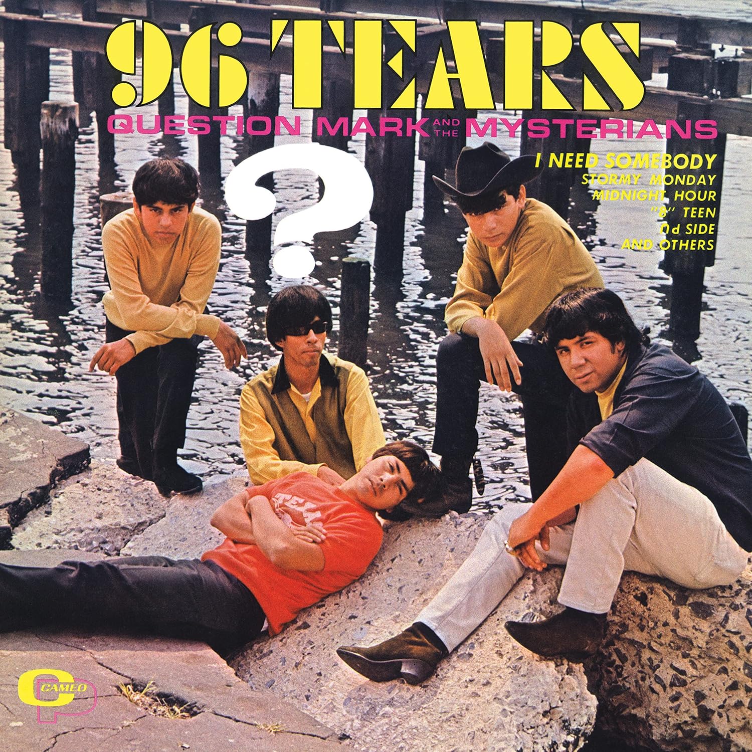 QUESTION MARK & THE MYSTERIANS - 96 TEARS LP - Slika 3