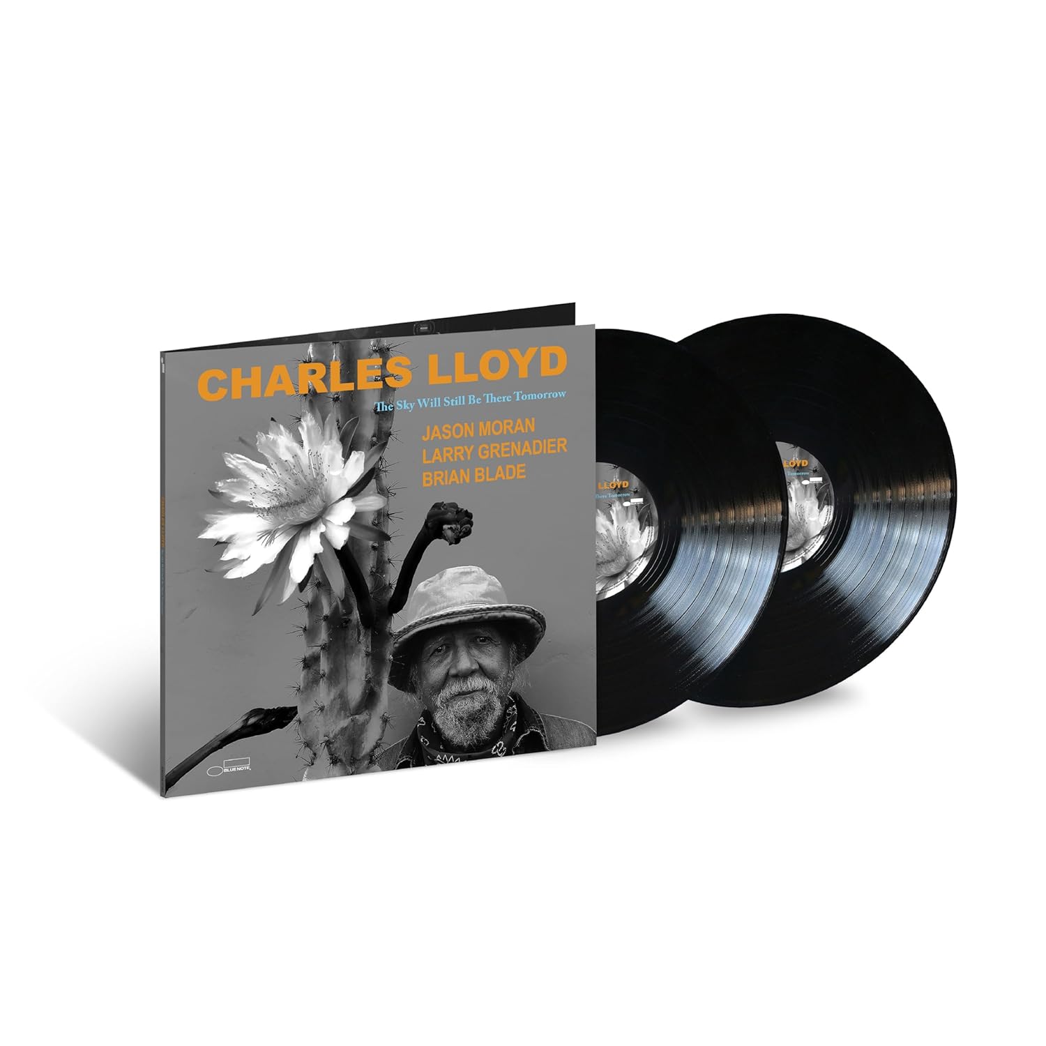 LLOYD CHARLES - SKY WILL STILL THERE TOMORROW LP2