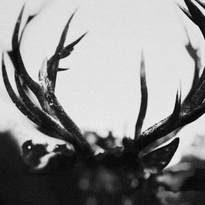 IHSAHN - IHSAHN LP2