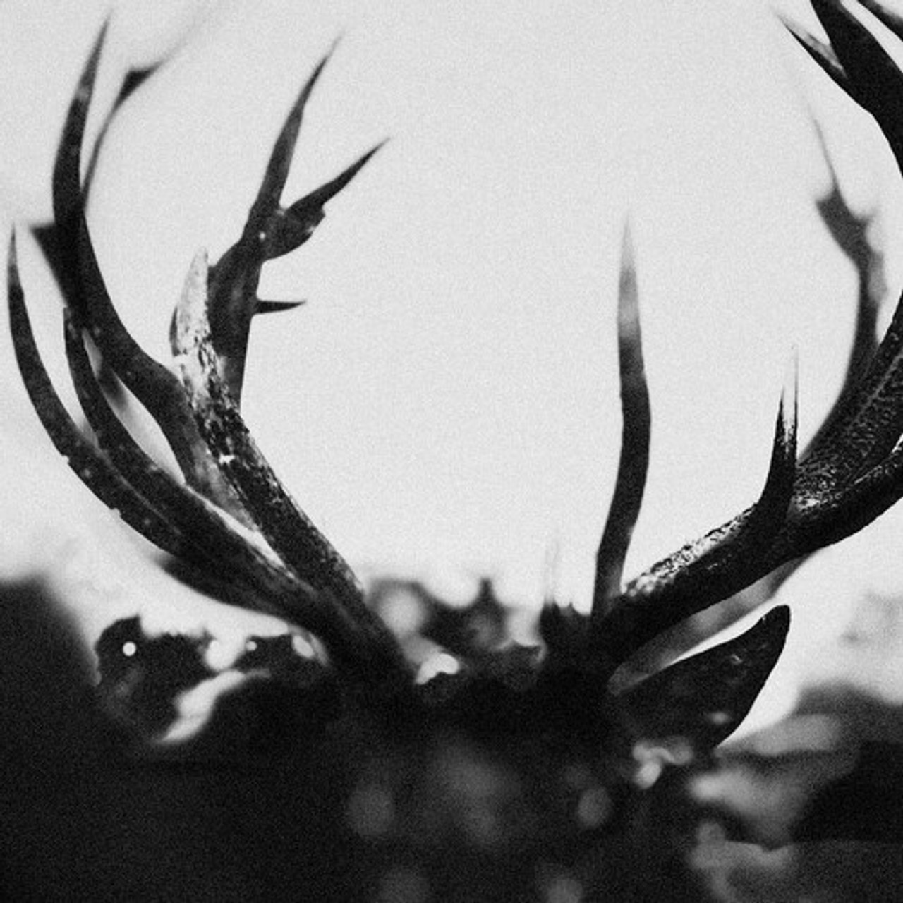 IHSAHN - IHSAHN LP2