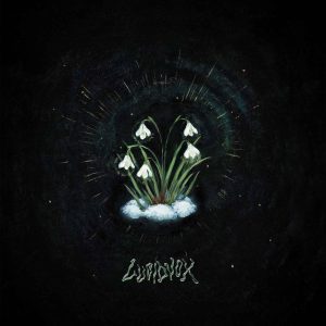 LUCIDVOX - THAT'S WHAT REMAIN LP