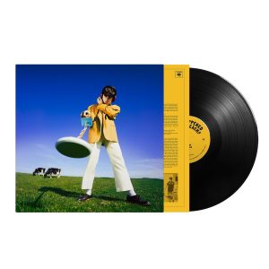MCKENNA DECLAN - WHAT HAPPENED TO THE BEACH ? LP