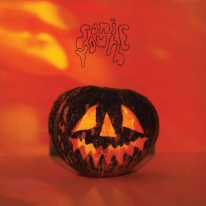 SONIC YOUTH - WALLS HAVE EARS CD