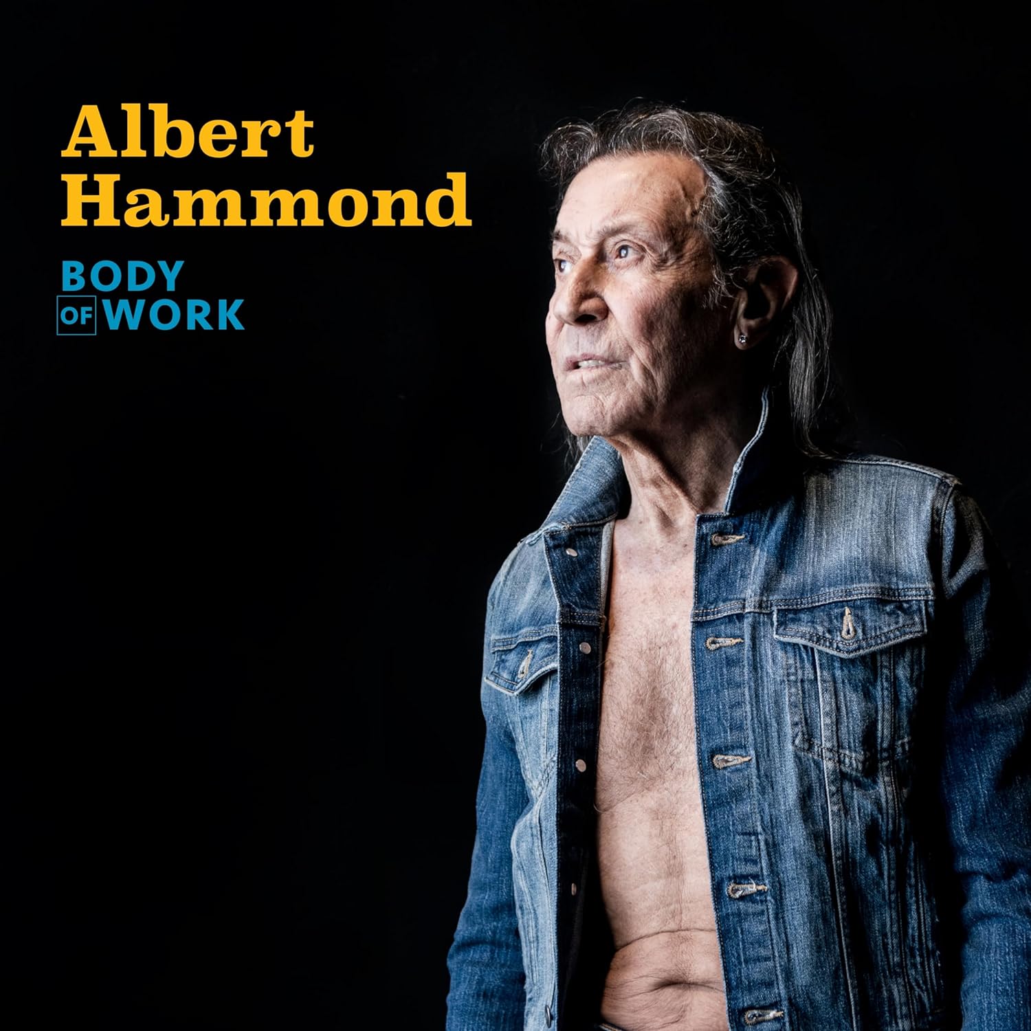 HAMMOND ALBERT - BODY OF WORK CD