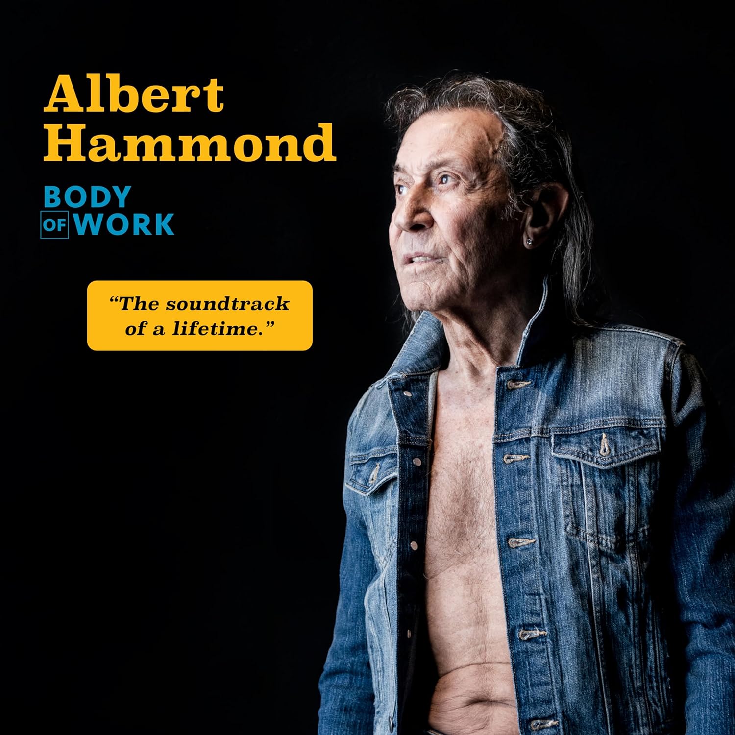 HAMMOND ALBERT - BODY OF WORK LP2 - Slika 2