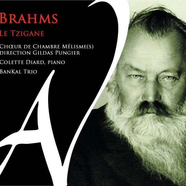 CHOEUR DE CHAMBRE - BRAHMS LE TZIGANE CD