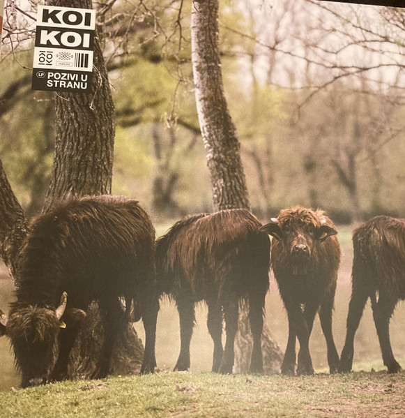 KOIKOI - POZIVI U STRANU LP