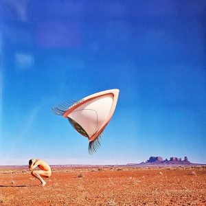 CRANBERRIES -  BURY THE HATCH RSD 2024 LP2