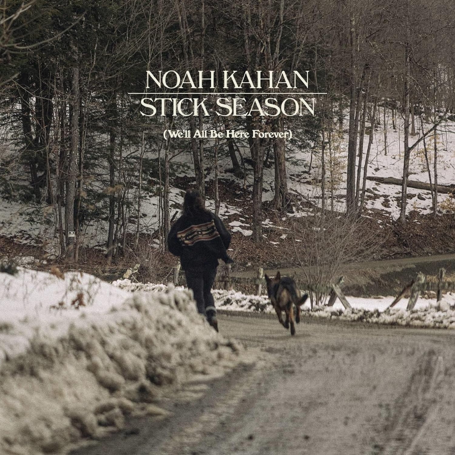 KAHAN NOAH - STICK SEASON LP3 - Image 2
