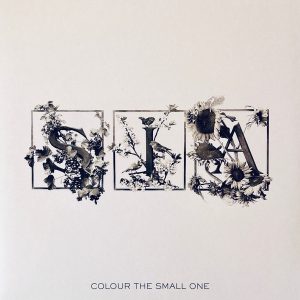 SIA - COLOUR THE SMALL ONE RSD 2024 ltd transparent vinyl LP2