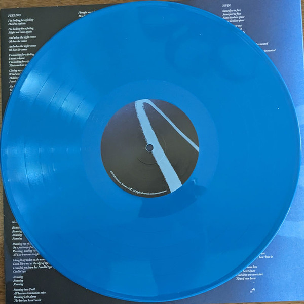BANHART DEVENDRA - FLYING WIG ltd blue vinyl LP - Slika 2