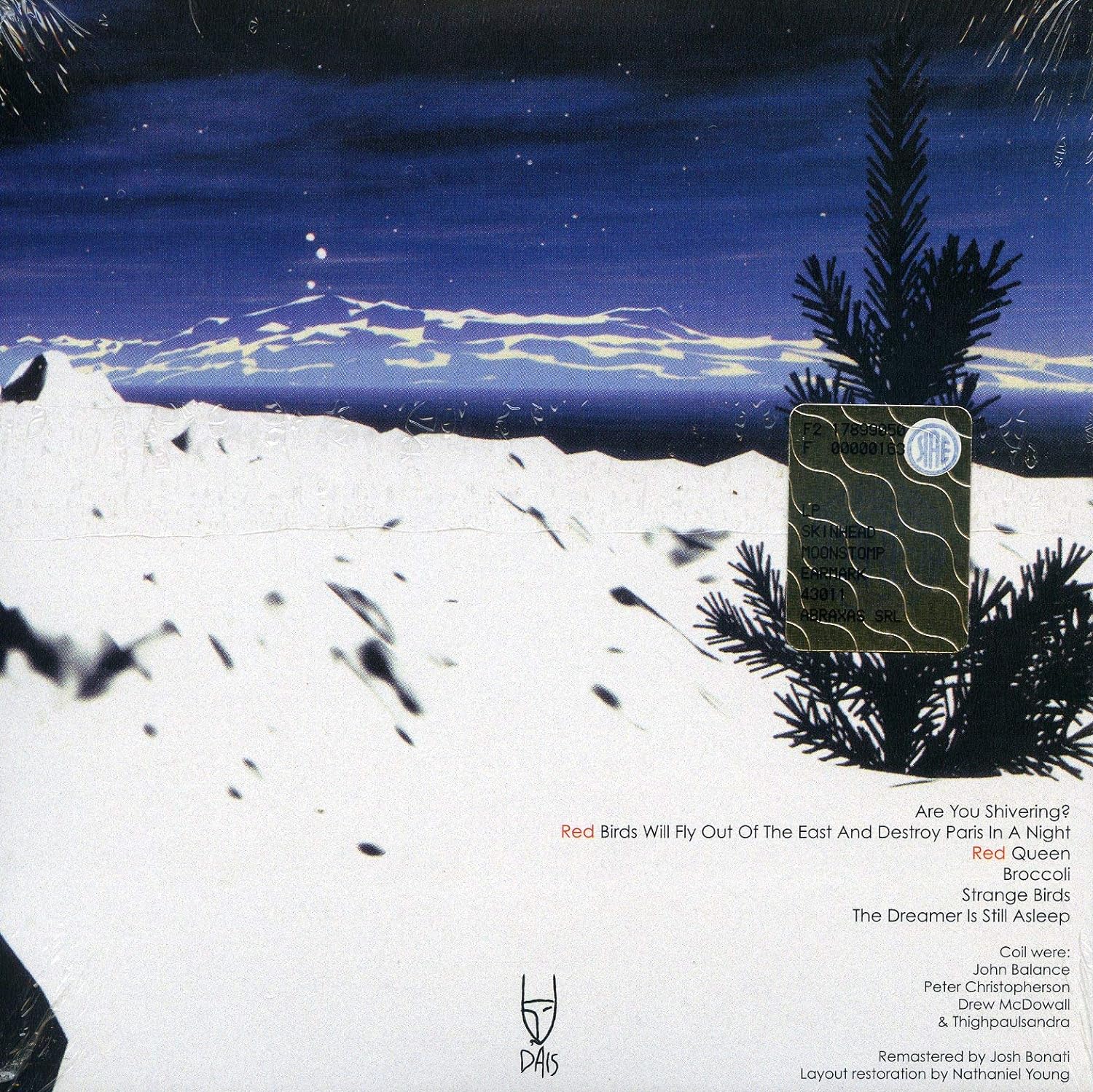 COIL - MUSICK TO PLAY IN THE DARK CD - Slika 2