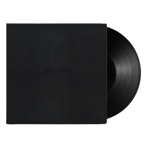 STAPLES VINCE - DARK TIMES LP