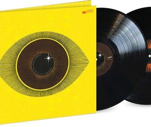 NDEGEOCELLO ME'SHELL - NO MORE WATER LP2