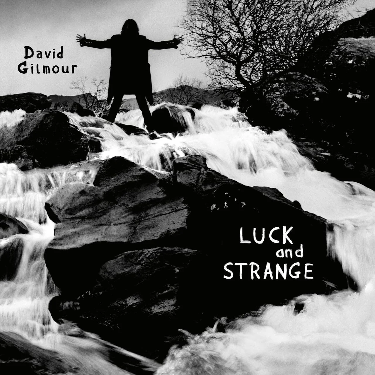 GILMOUR DAVID - LUCK AND STRANGE LP - Slika 2