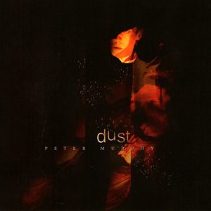 MURPHY PETER - DUST