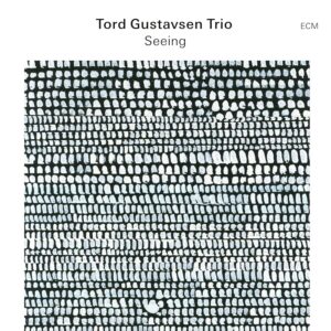 GUSTAVSEN TORD - SEEING CD