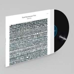 GUSTAVSEN TORD - SEEING LP