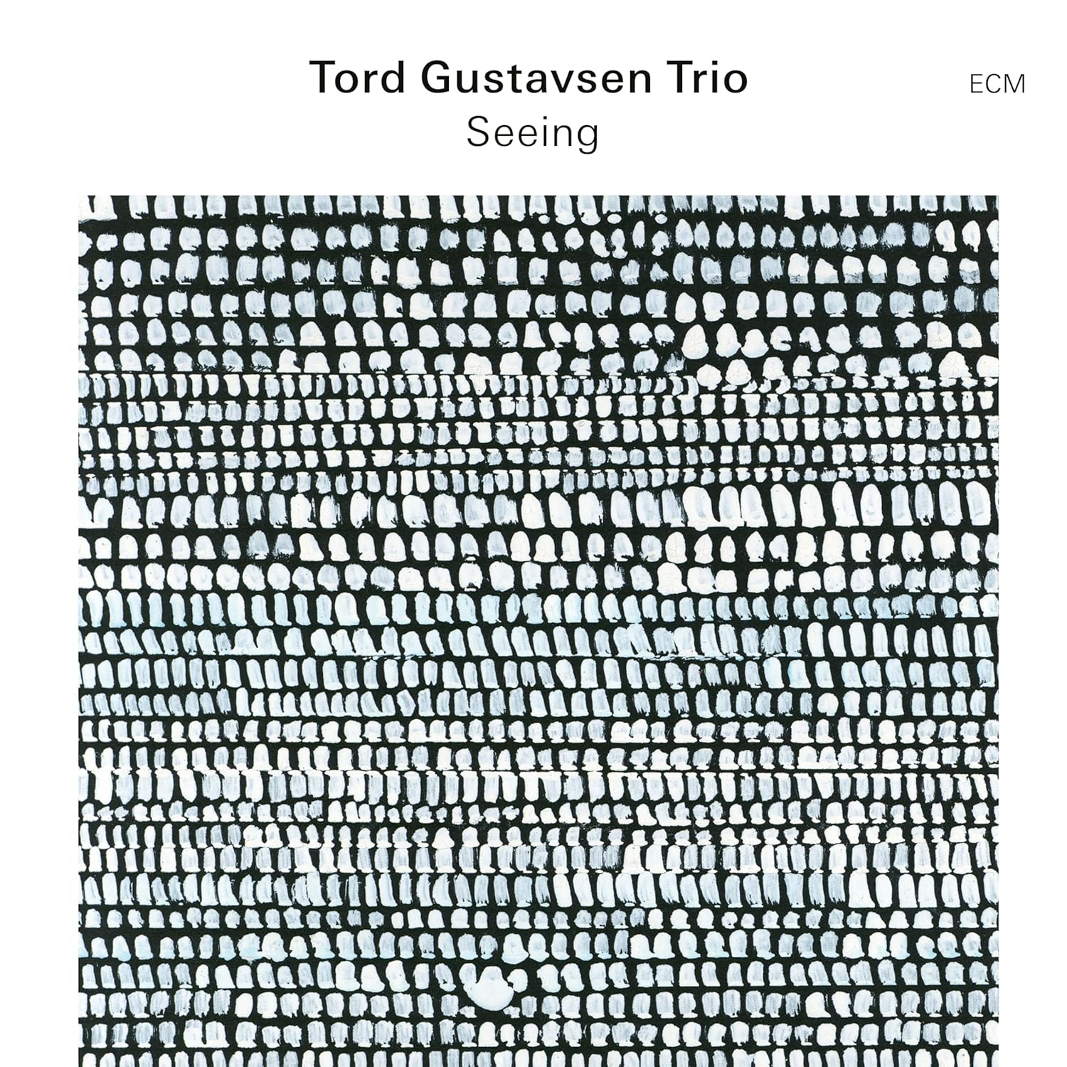 GUSTAVSEN TORD - SEEING LP - Slika 2